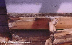 Redwood Deck (Termites) - Glendale / Los Angeles