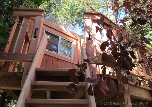 Redwood Treehouse in Redwoods with Clubhouse - Pasadena, CA