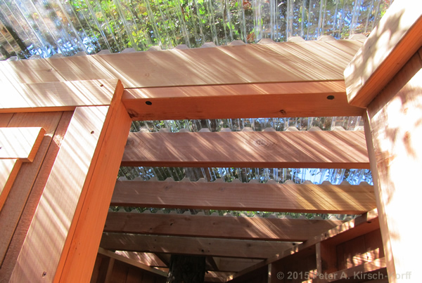 View of the clear plastic corragated roofing that allows light to pour into Treehouse in Redwoods with Traditional Clubhouse - Pasadena, CA
