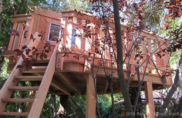 Redwood Treehouse in Redwoods with Traditional Clubhouse showing stair-like access ladder and nestled in existing redwood grove - Pasadena, CA