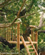 Rustic Wood Tree House