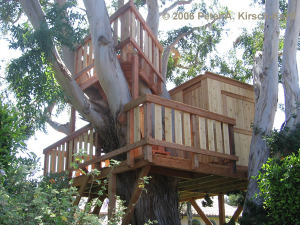 tree house plans. Building a Wooden Tree House