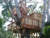 Wood Treehouse, Tree FOrts, Play houses & Garden Retreats