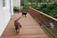 Los Angeles Wood Deck - Modern Style in Mangaris tm