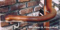 Entryway Mahogany Hand Rail (curved detail)- Hollywood Hills