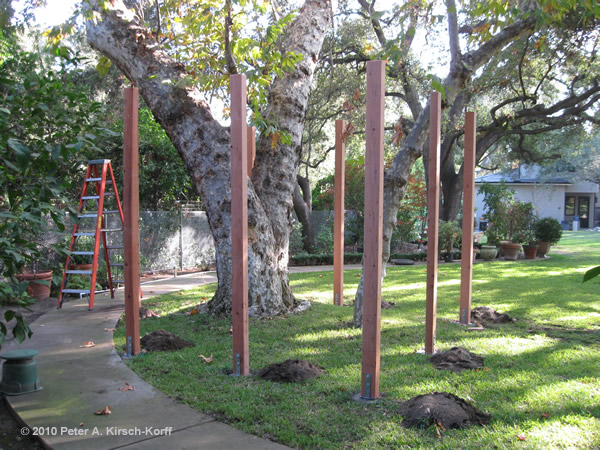 Custom Wood Treehouse (Post Installation) - Arcadia, California