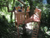 Free Standing Wood Tree House - Bel Air, Brentwood, Pacific Palisades, CA