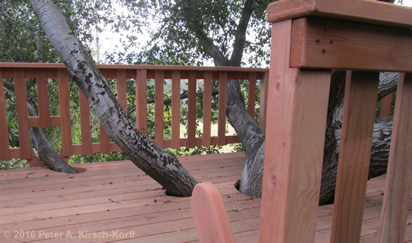 Hillside Redwood Tree Deck with Slide Tree House - La Cresenta CA