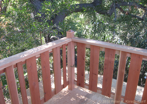 Greene & Greene Inspired Redwood Tree House view of surrounding trees from top of crow's nest - Pasadena, CA