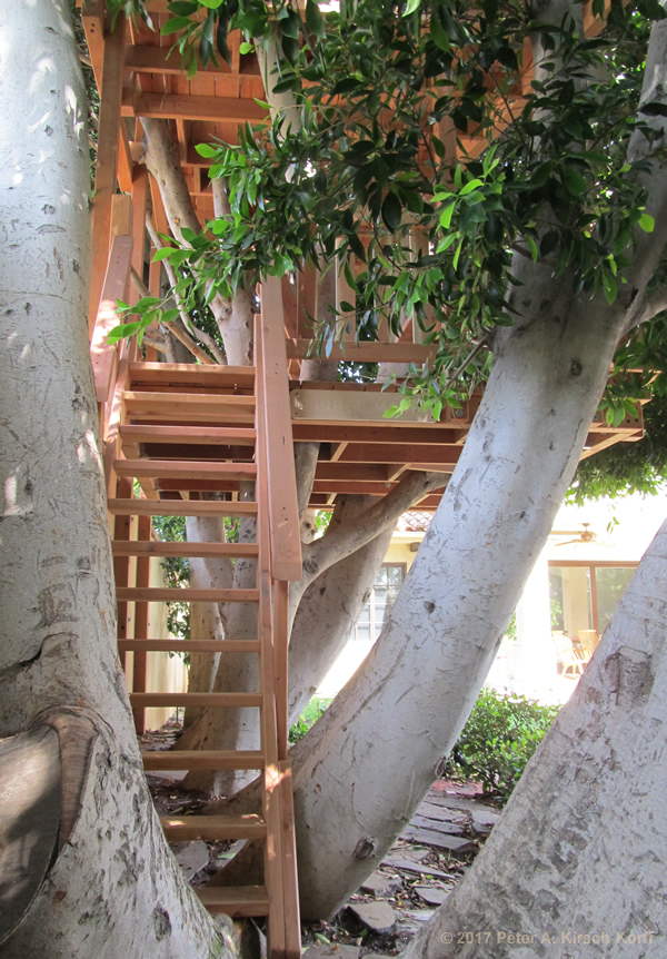 Double Decker Treehouse (ground access ladder to Level 1) - West LA, CA