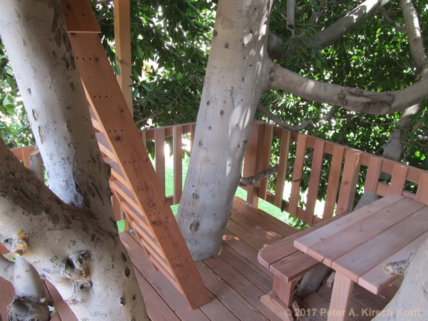 Double Deck Treehouse (Level 1 view with picnic table) - West LA, CA