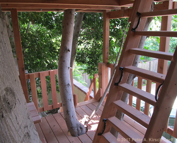 Double Decker Treehouse  (Level 1 and access ladder to level 2) - West LA, CA