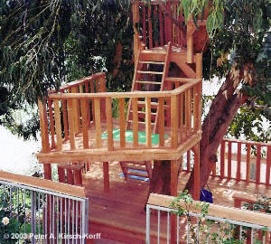 Freestanding Treehouse with Clubhouse and Crow's Nest - Los Angeles, CA